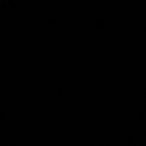 Meet your Posher, Aaliyah